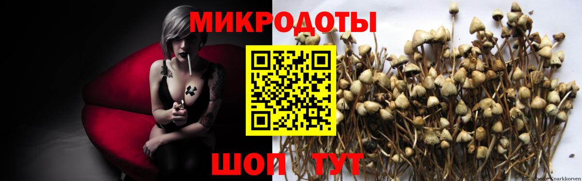 Серпухов  Псилоцибиновые грибы Psilocybine cubensis  Вход с VPN 